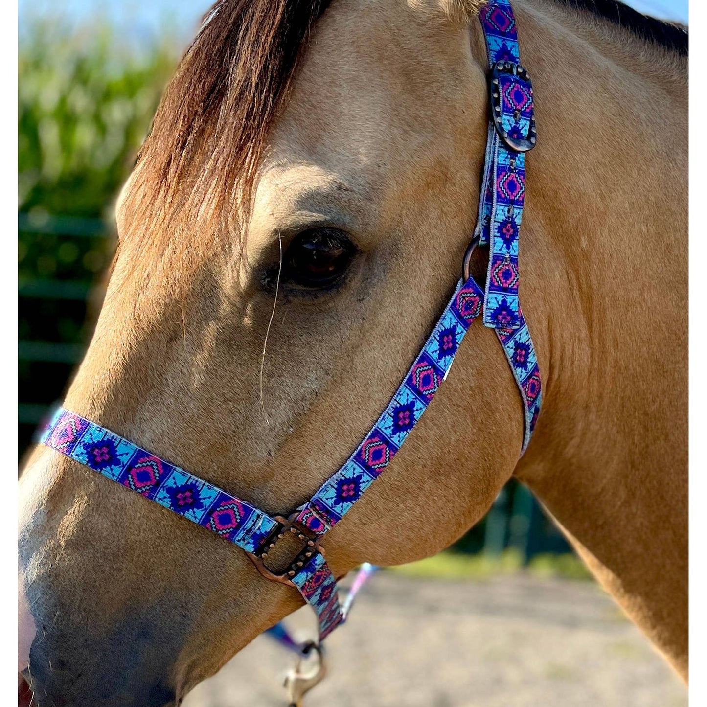 Nylon Halter - Horse Size