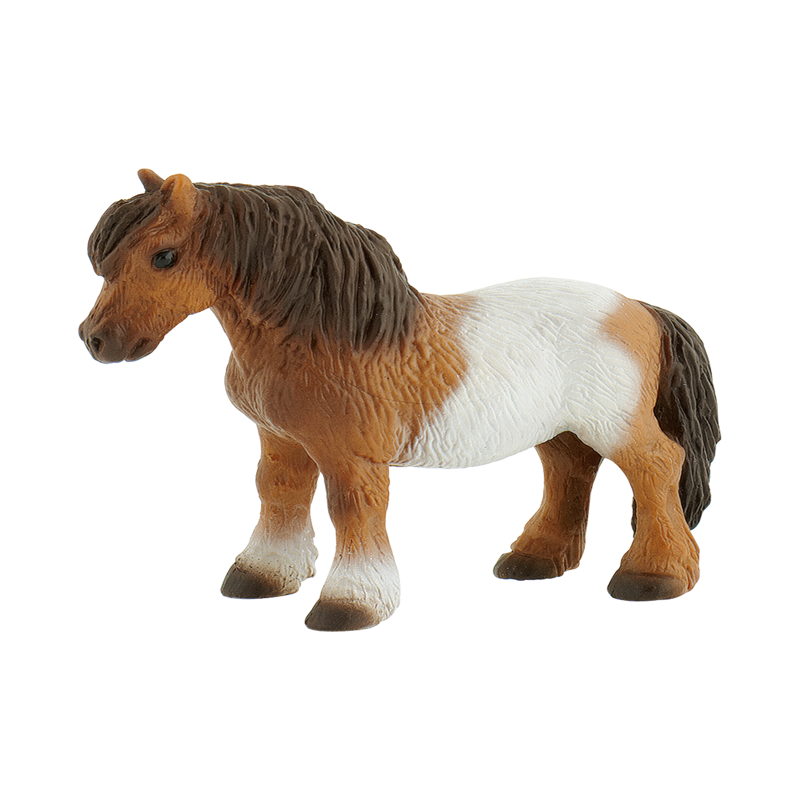 Shetland Pony Mare