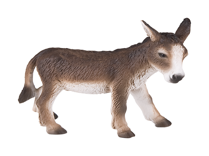 Donkey
