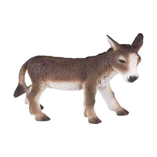 Donkey