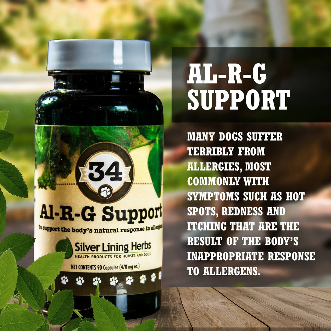 Silver Lining Herbs Al-R-G Support 90caps