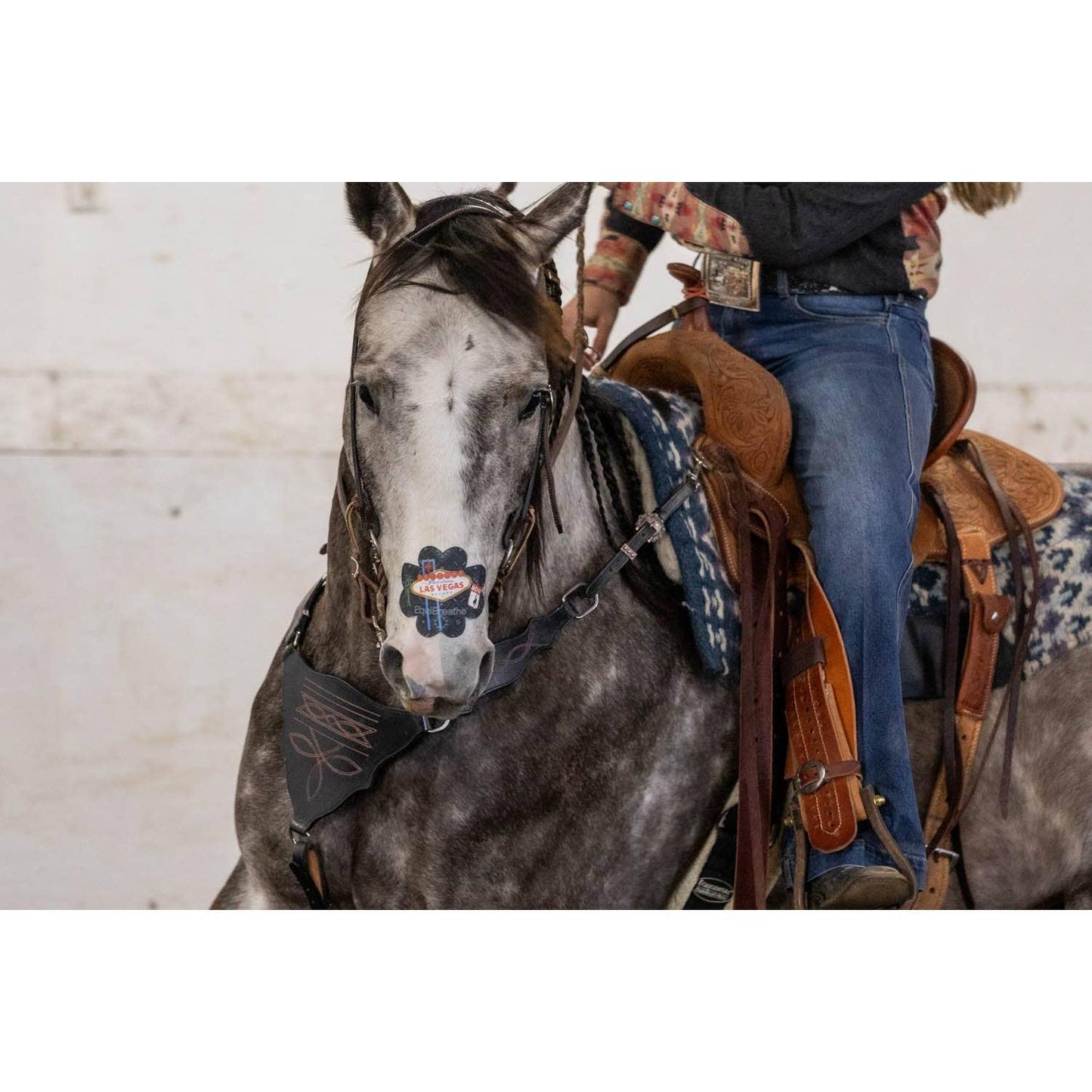 EquiBreathe™ - EquiBreathe™ Equine Nasal Patch - Vegas