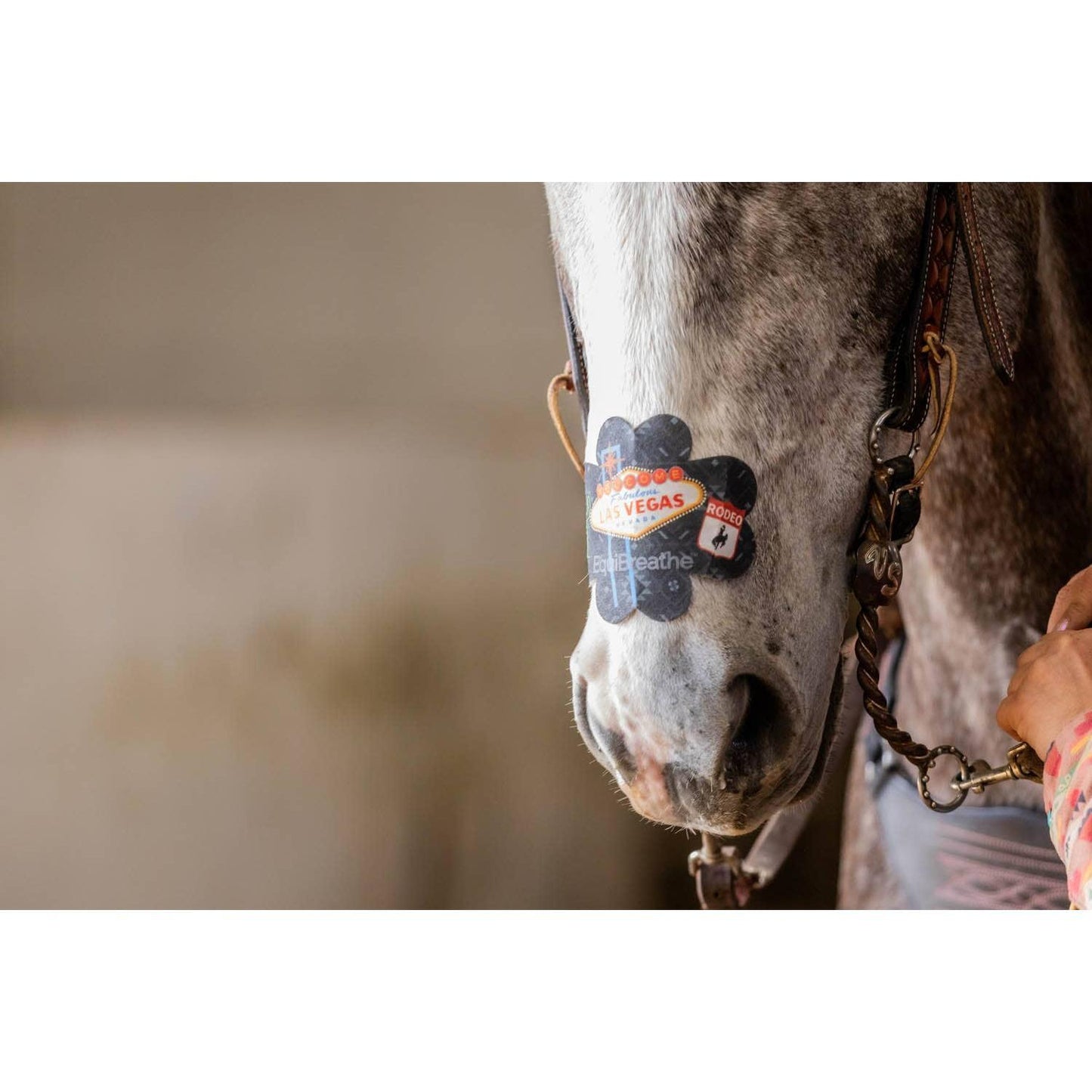 EquiBreathe™ - EquiBreathe™ Equine Nasal Patch - Vegas