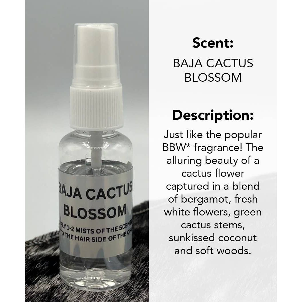 SCENTED OIL PACKAGED