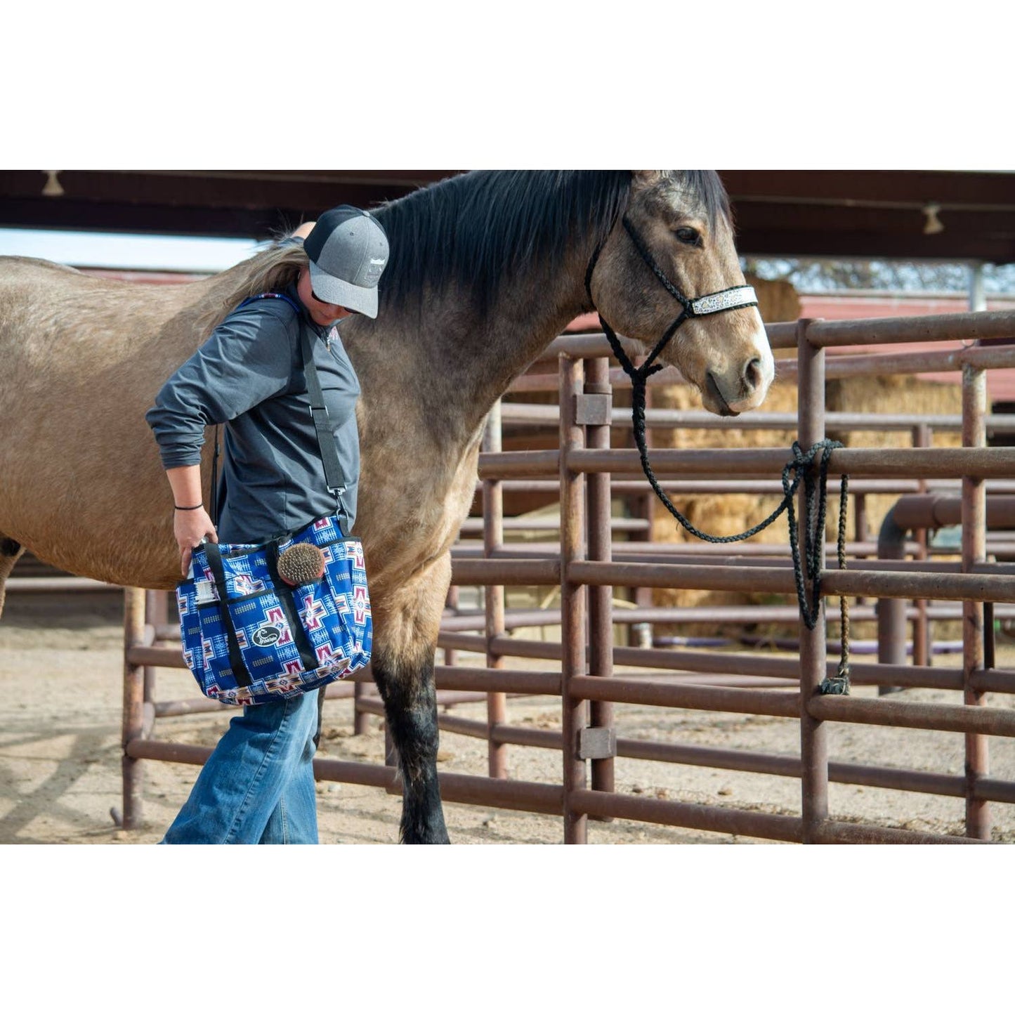 Grooming Tote