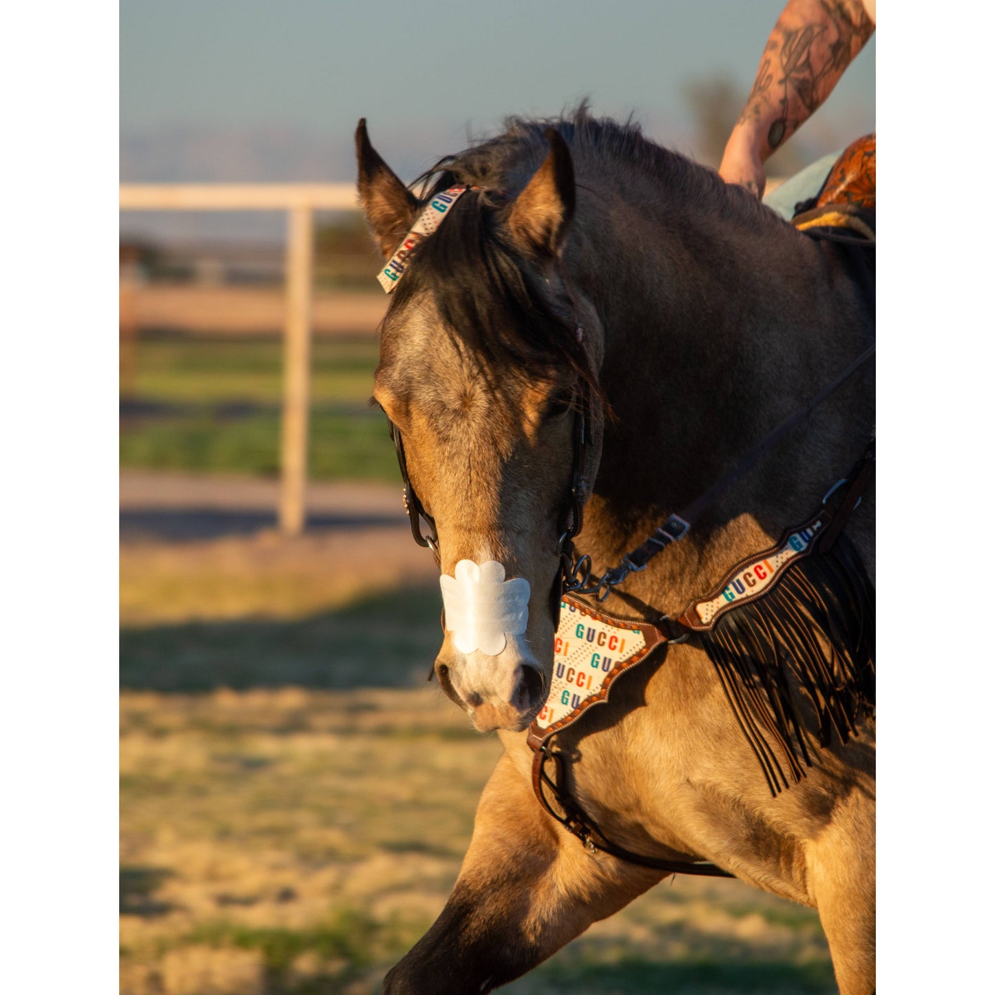 EquiBreathe™ Equine Nasal Patch - White