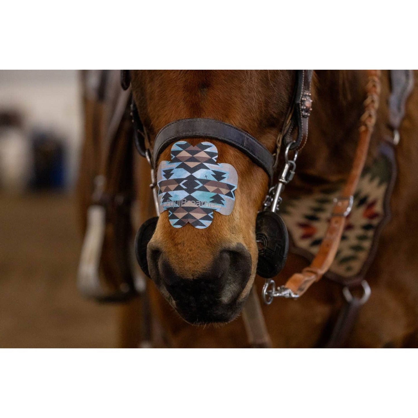 EquiBreathe™ Equine Nasal Patch - Aztec
