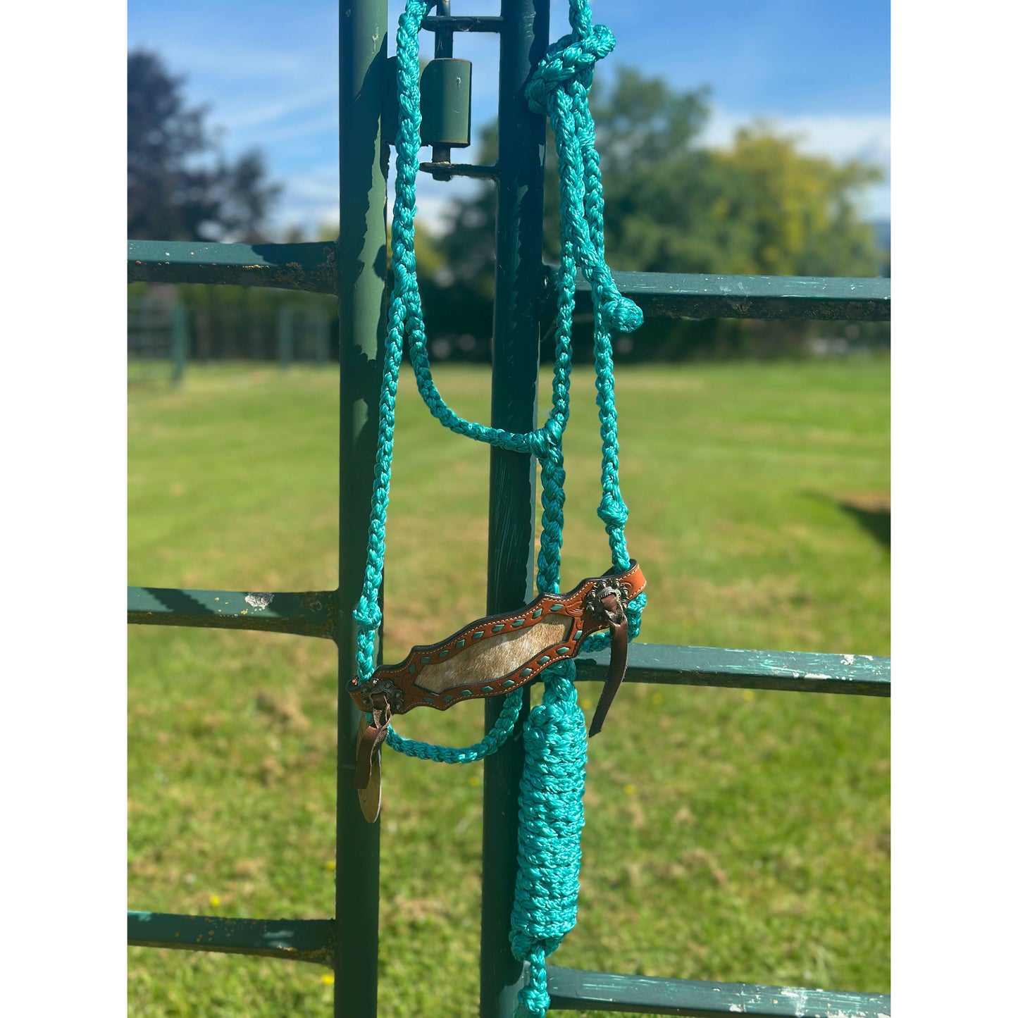 Braided Bronc Halter