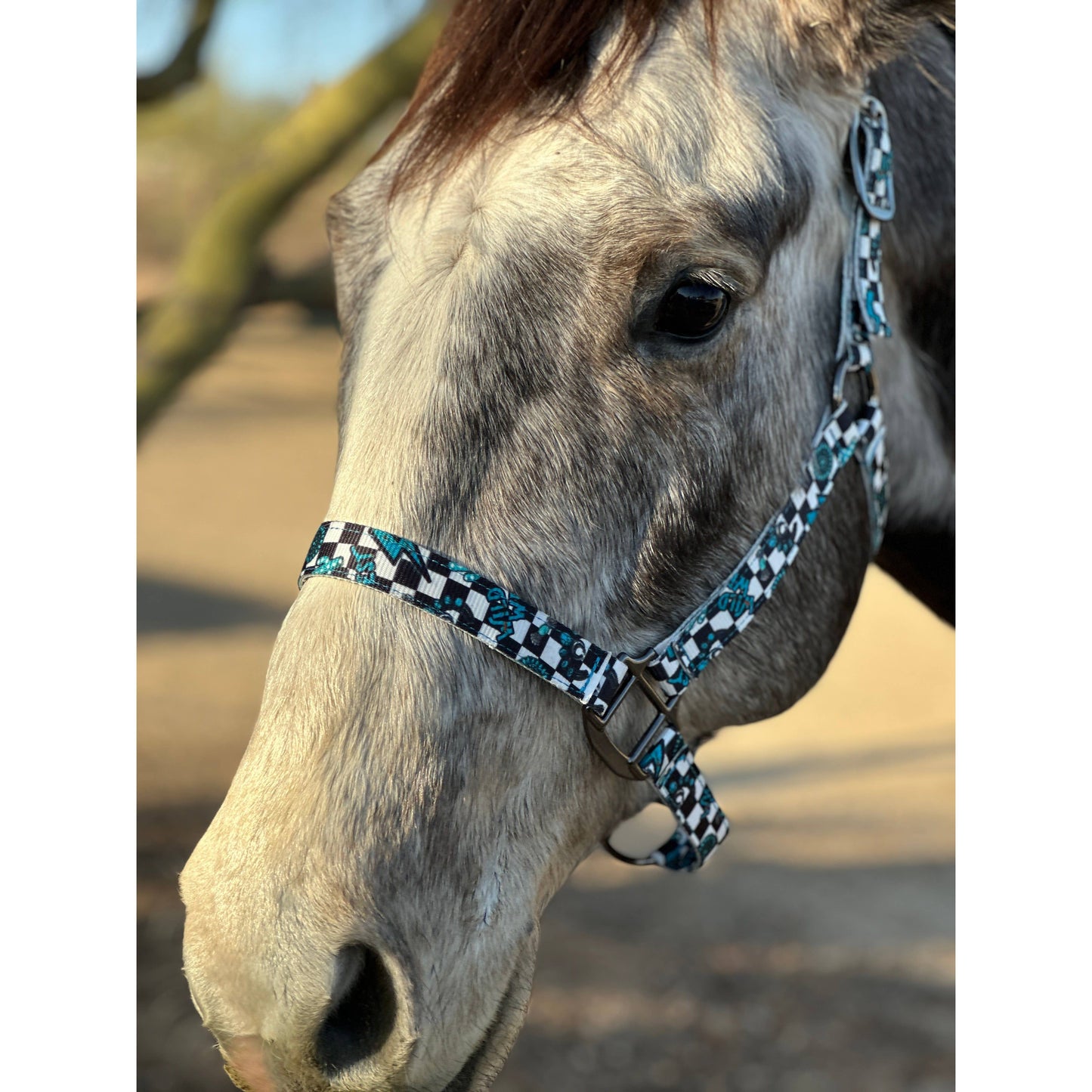 Nylon Halter - Horse Size