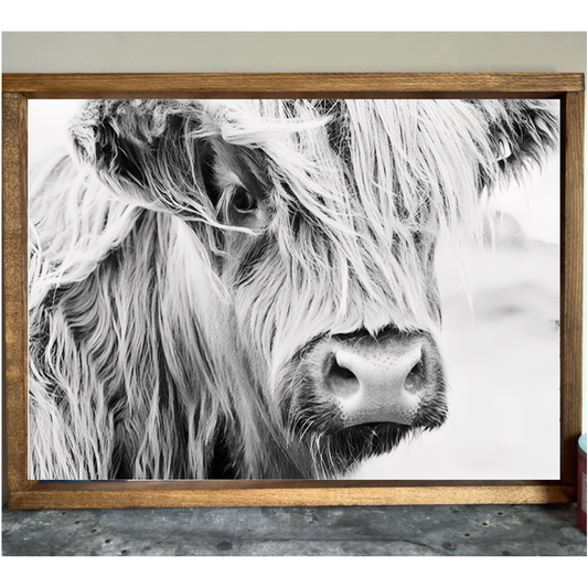 Up Close Highland Cow Farmhouse Sign