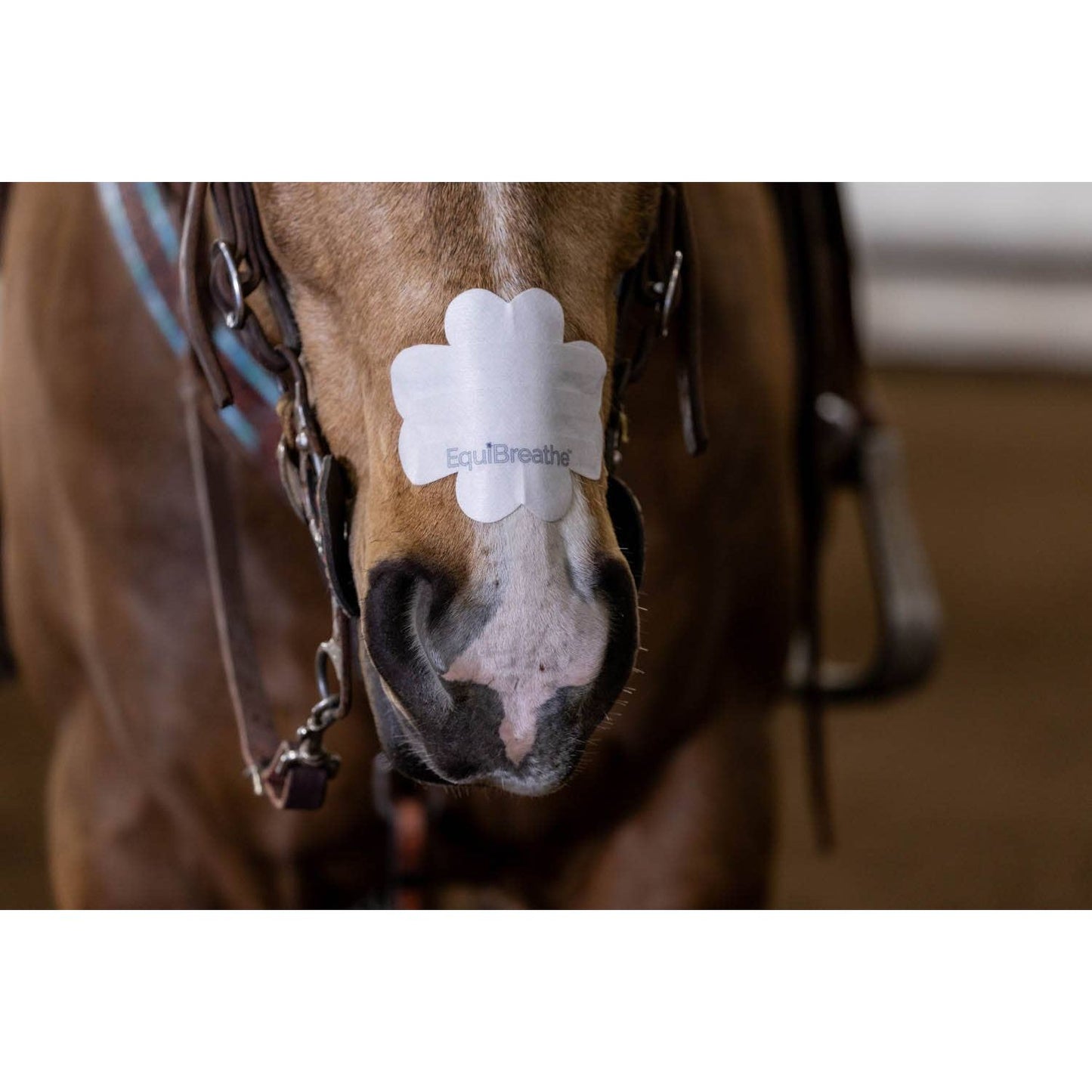 EquiBreathe™ Equine Nasal Patch - White