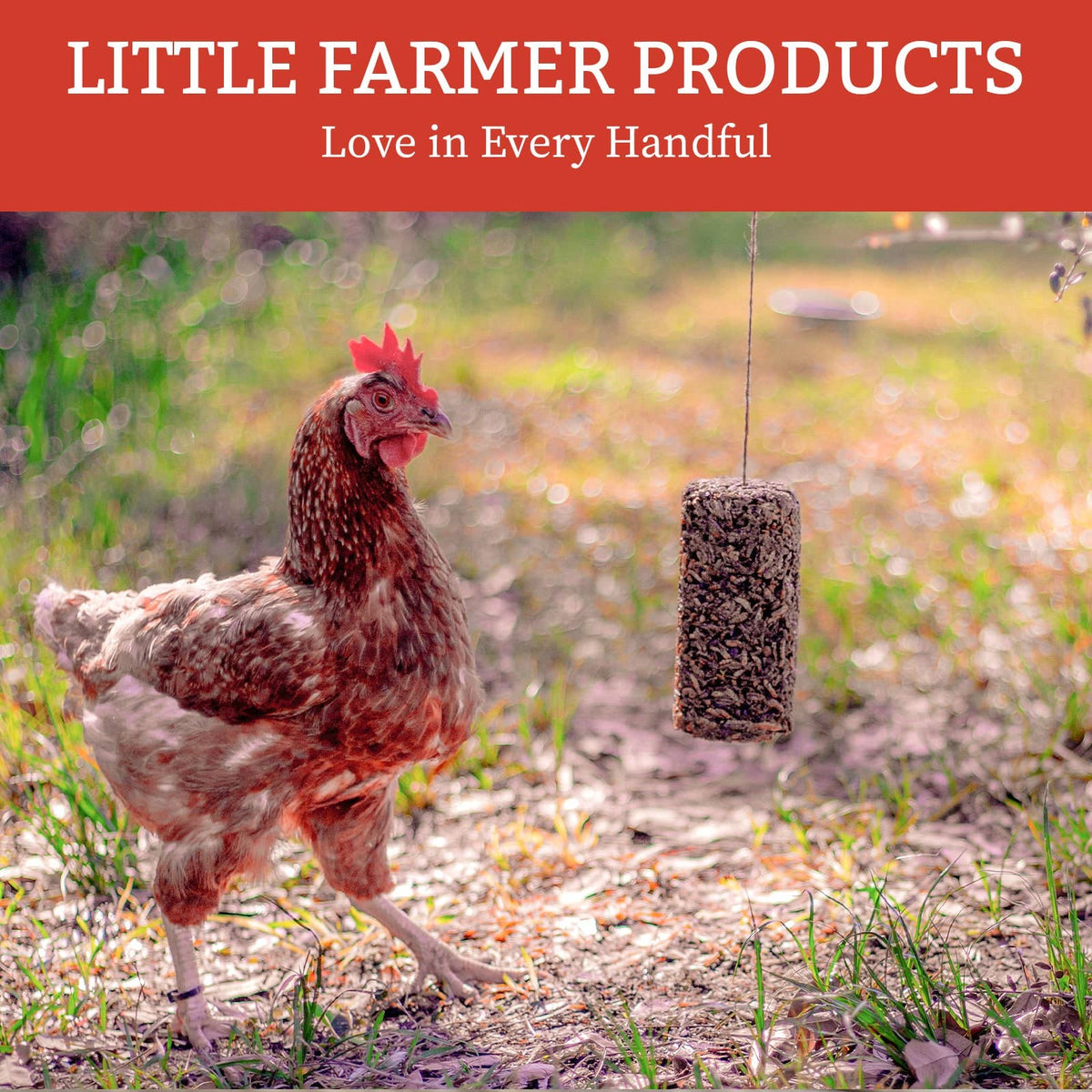 Chicken Treat on a String, Peck Away Grub, 9.87oz