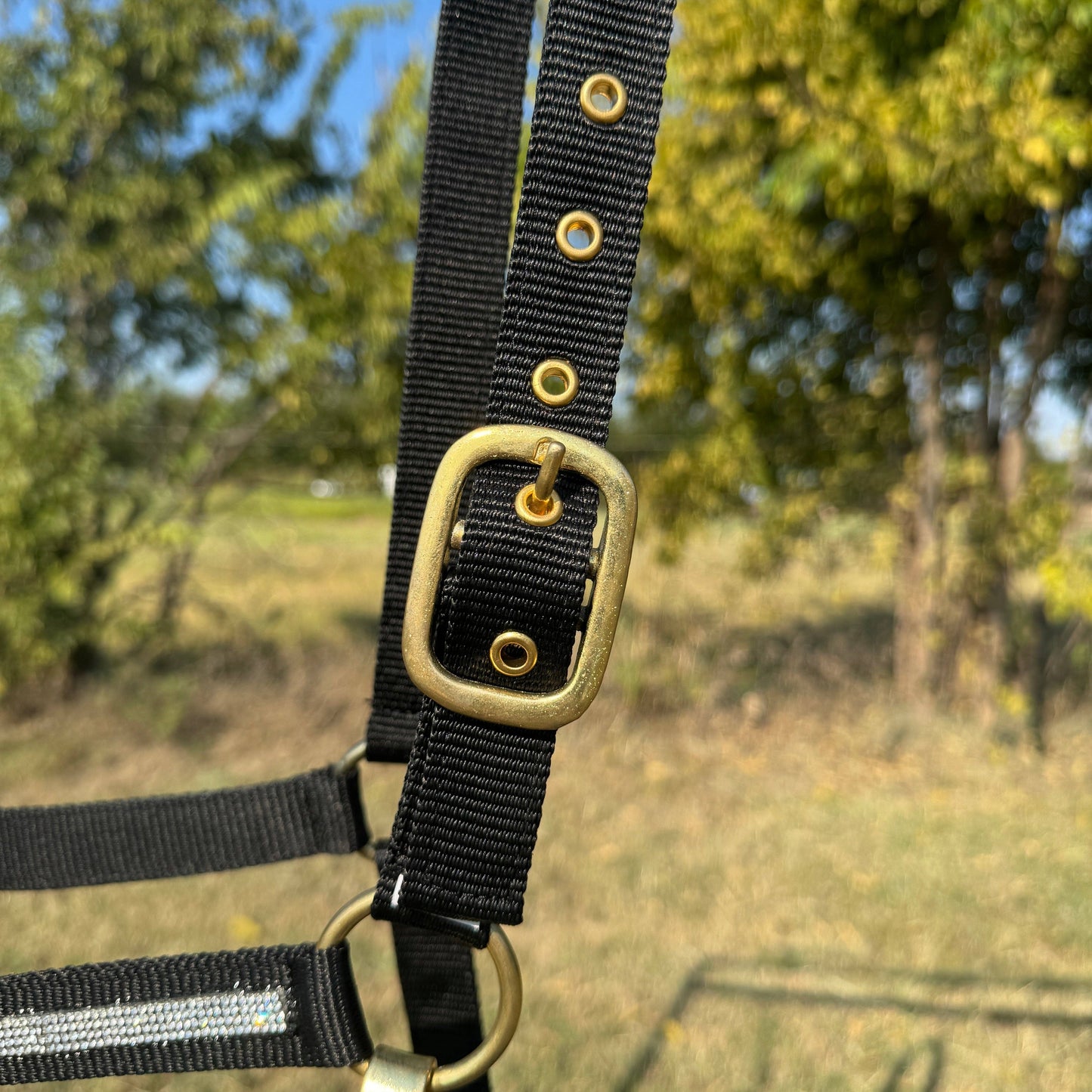 Black Bling Nylon Horse Halter BNHBLK