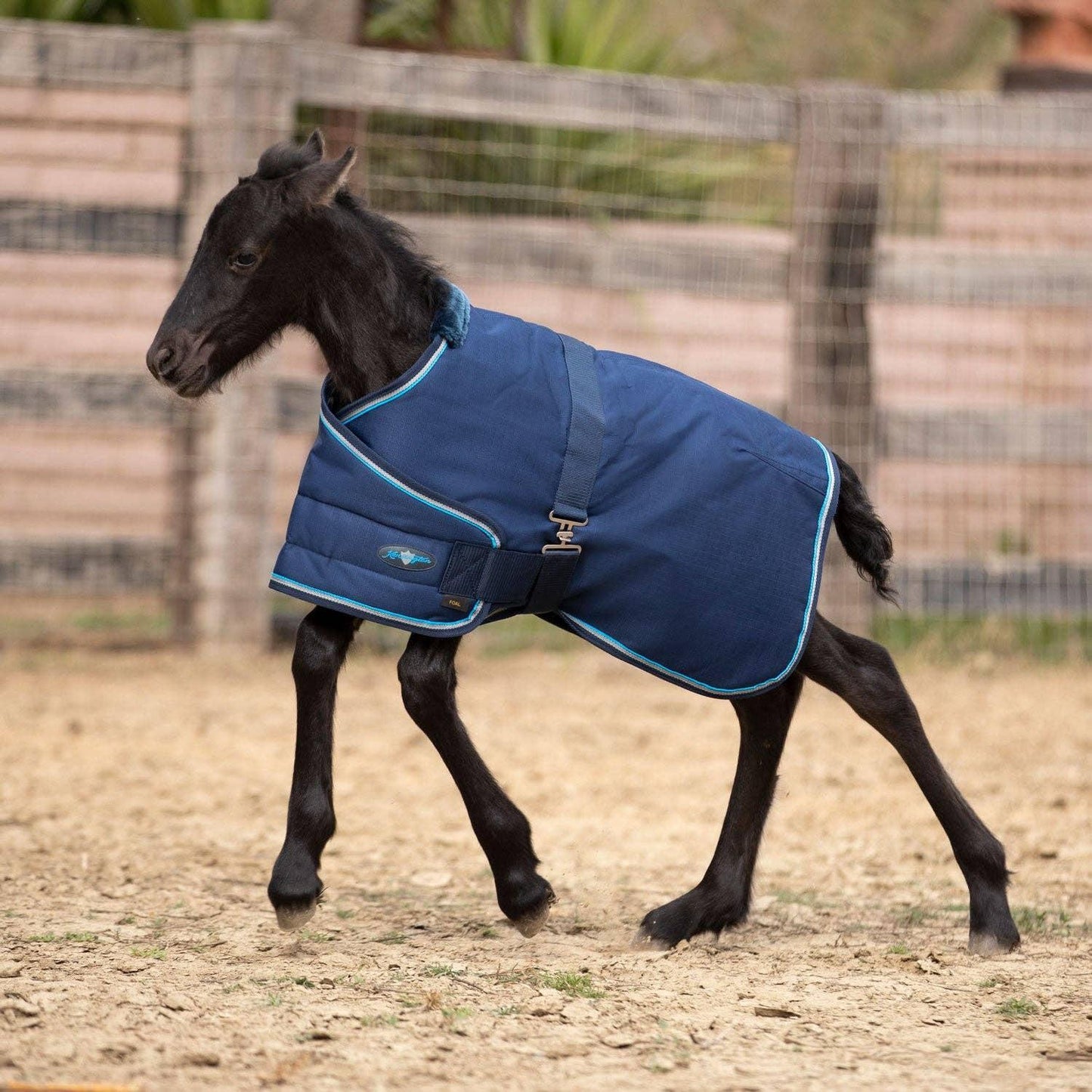 Kensington - 1200Denier Adjustable Foal "180G" Medium Weight Waterproof & Breathable Winter Turnout