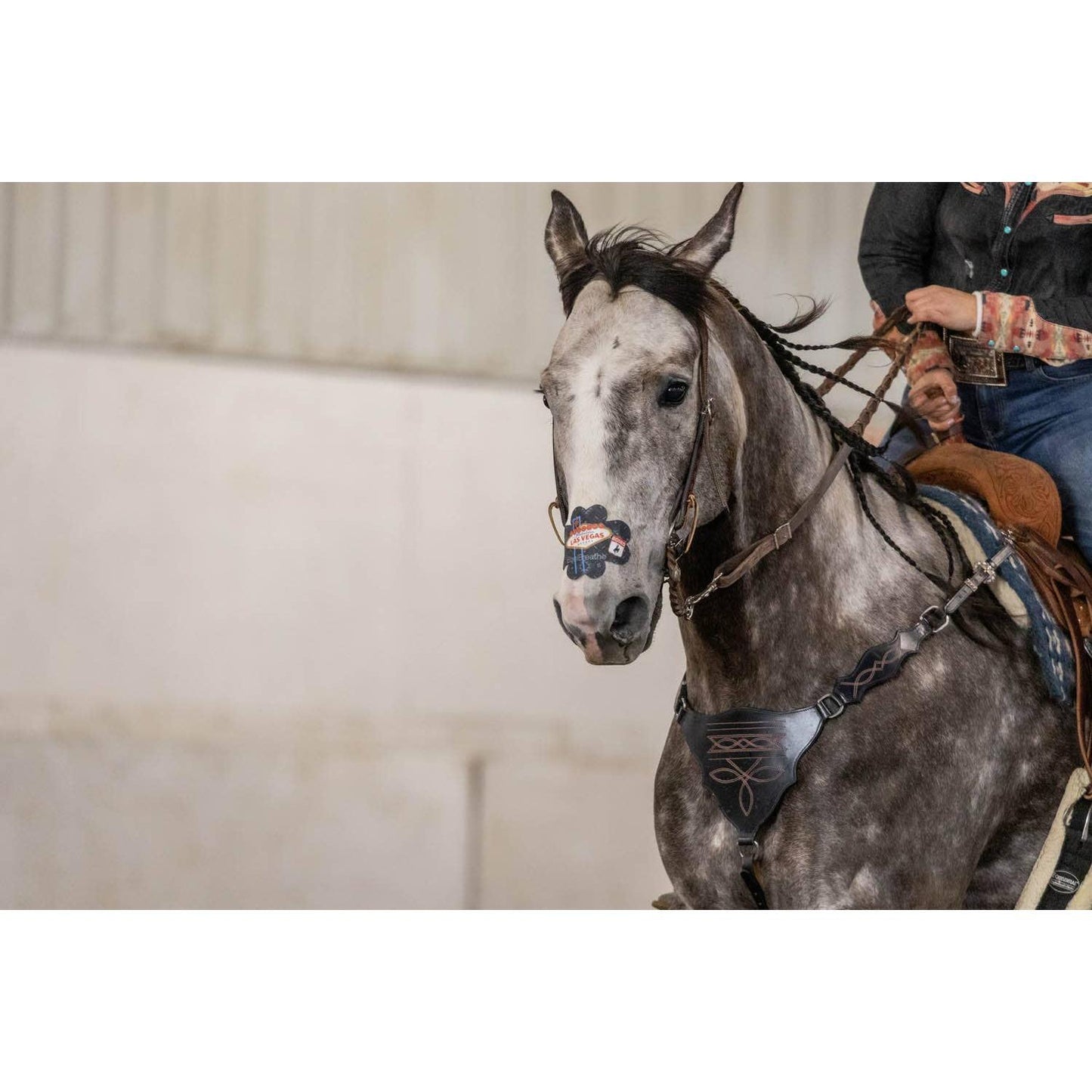 EquiBreathe™ - EquiBreathe™ Equine Nasal Patch - Vegas