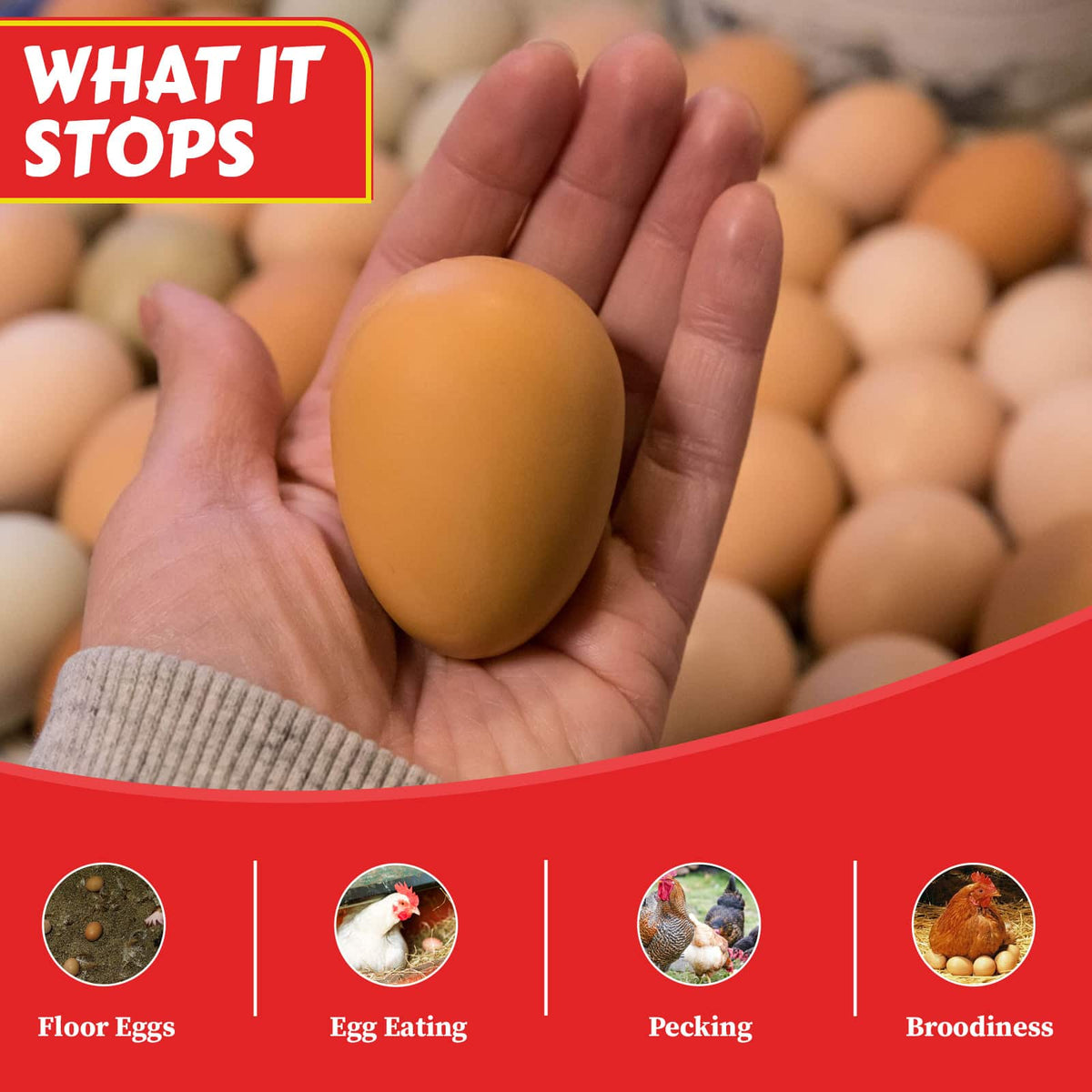 Brown Rubber Chicken Nest Eggs, Pair | Durable Nest Box Training Eggs