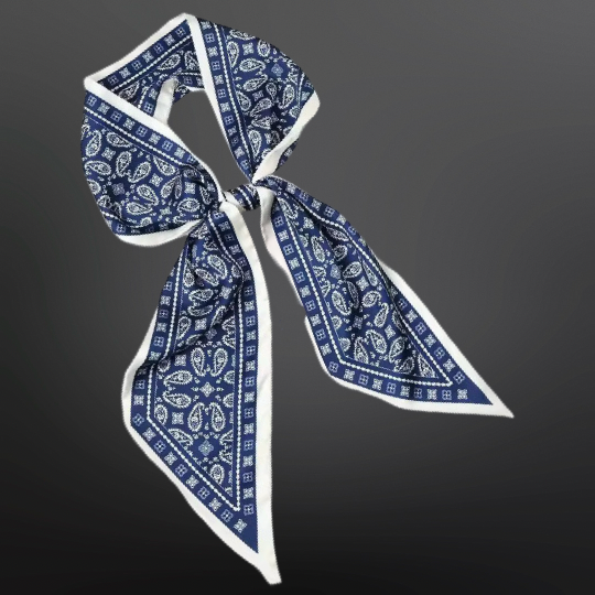Western Paisley Bandana Print Twilly Satin Scarf