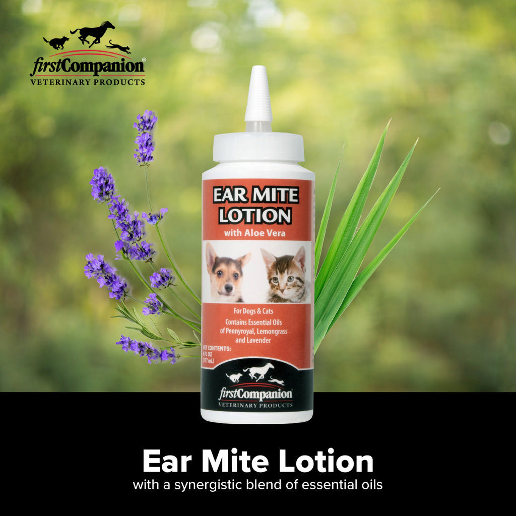First Companion Ear Mite Lotion for dogs and cats
