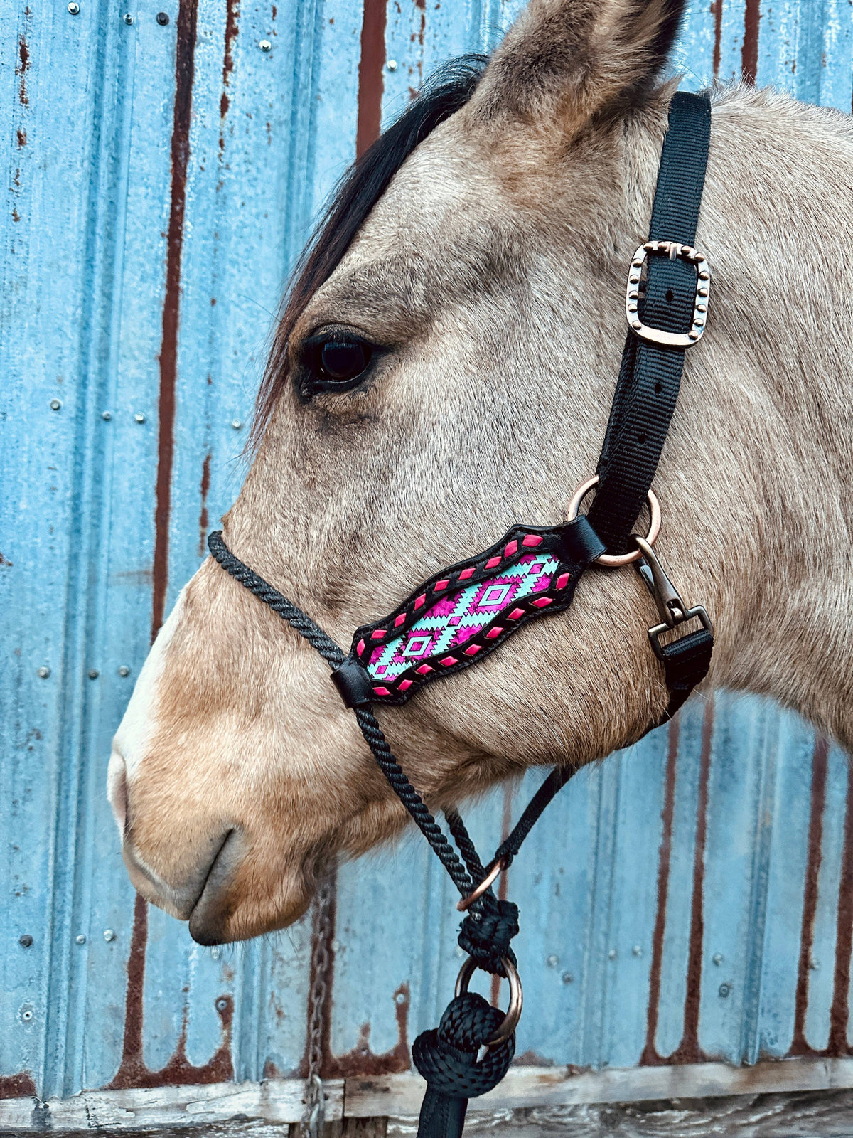 Lariat Nose Halter
