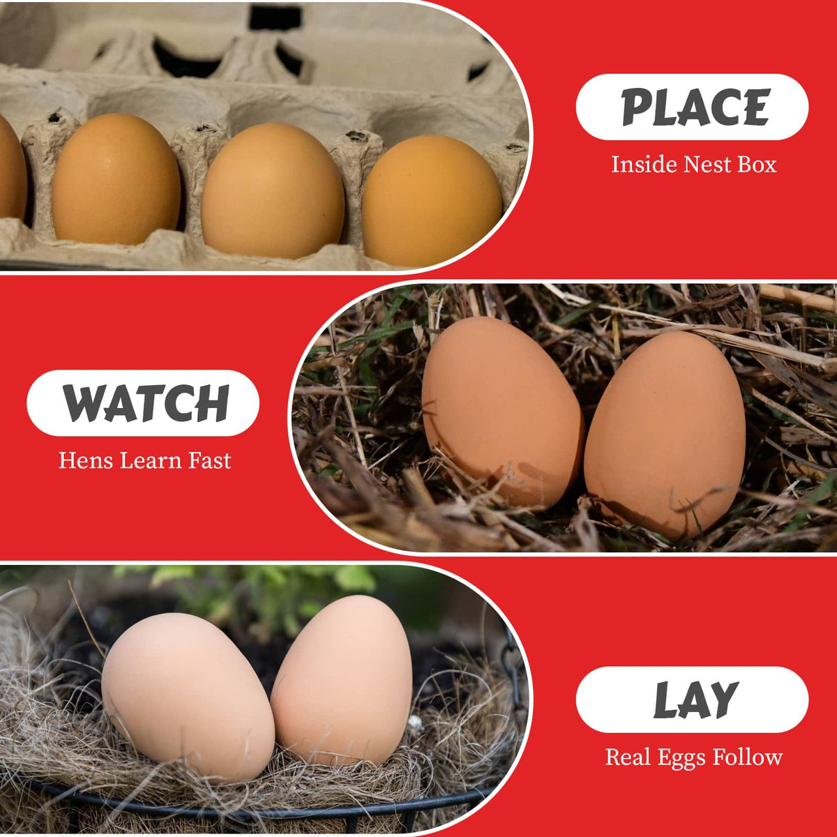 Brown Rubber Chicken Nest Eggs, Pair | Durable Nest Box Training Eggs