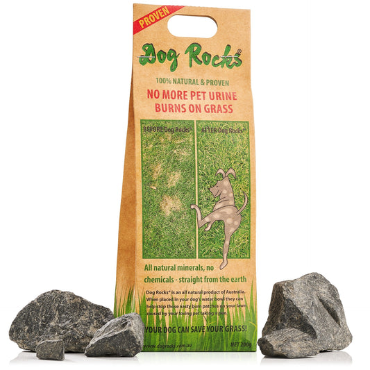 Dog Rocks
