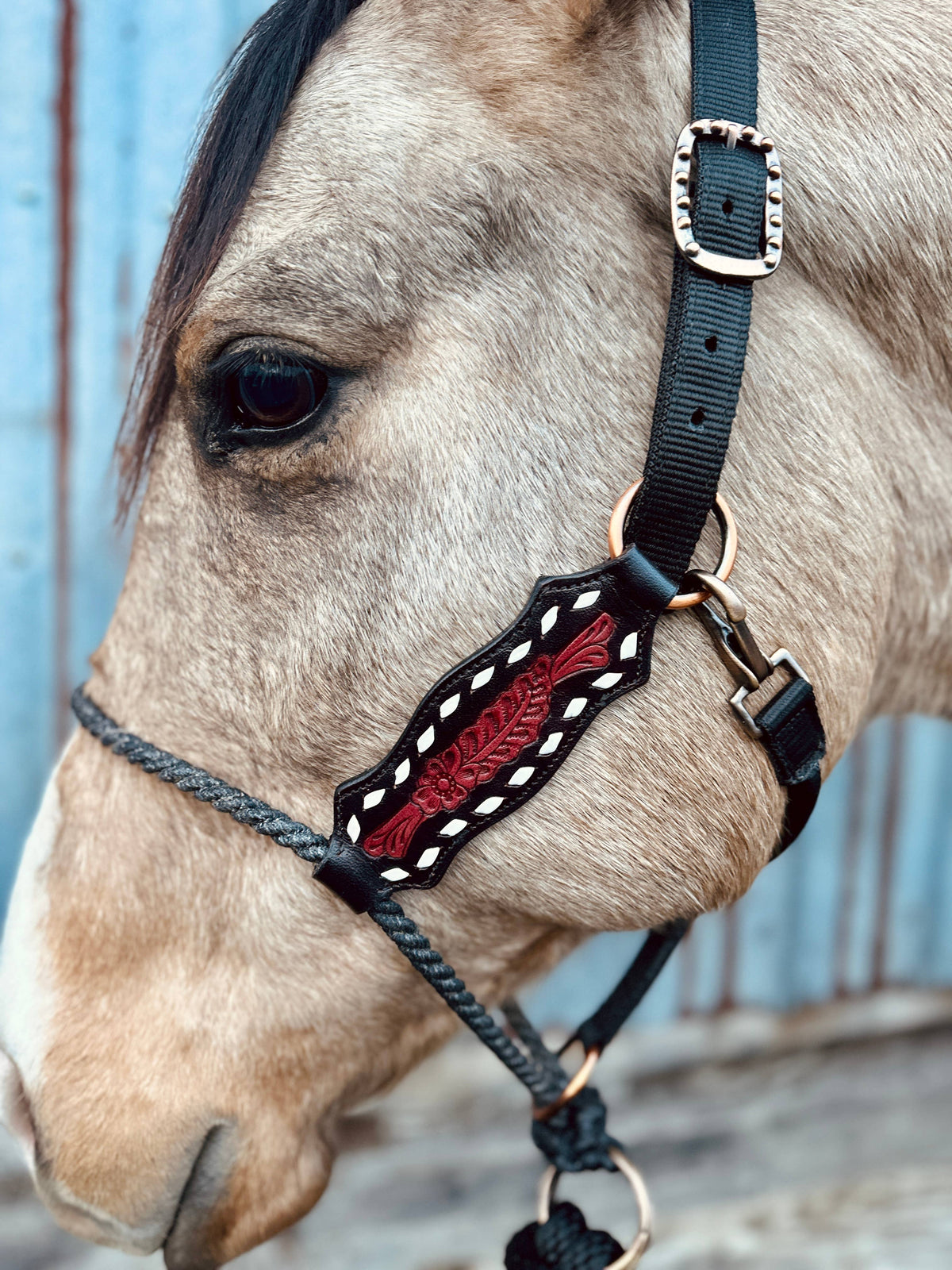 Lariat Nose Halter