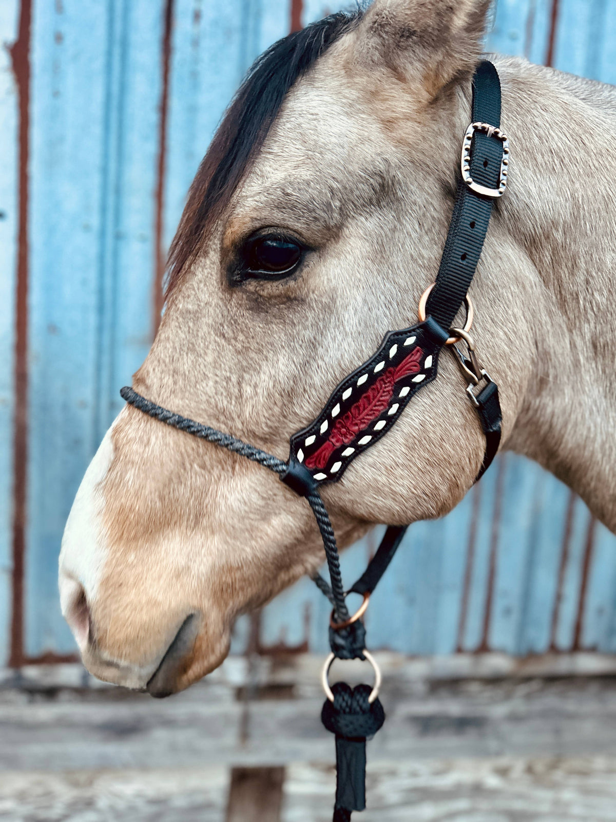 Lariat Nose Halter