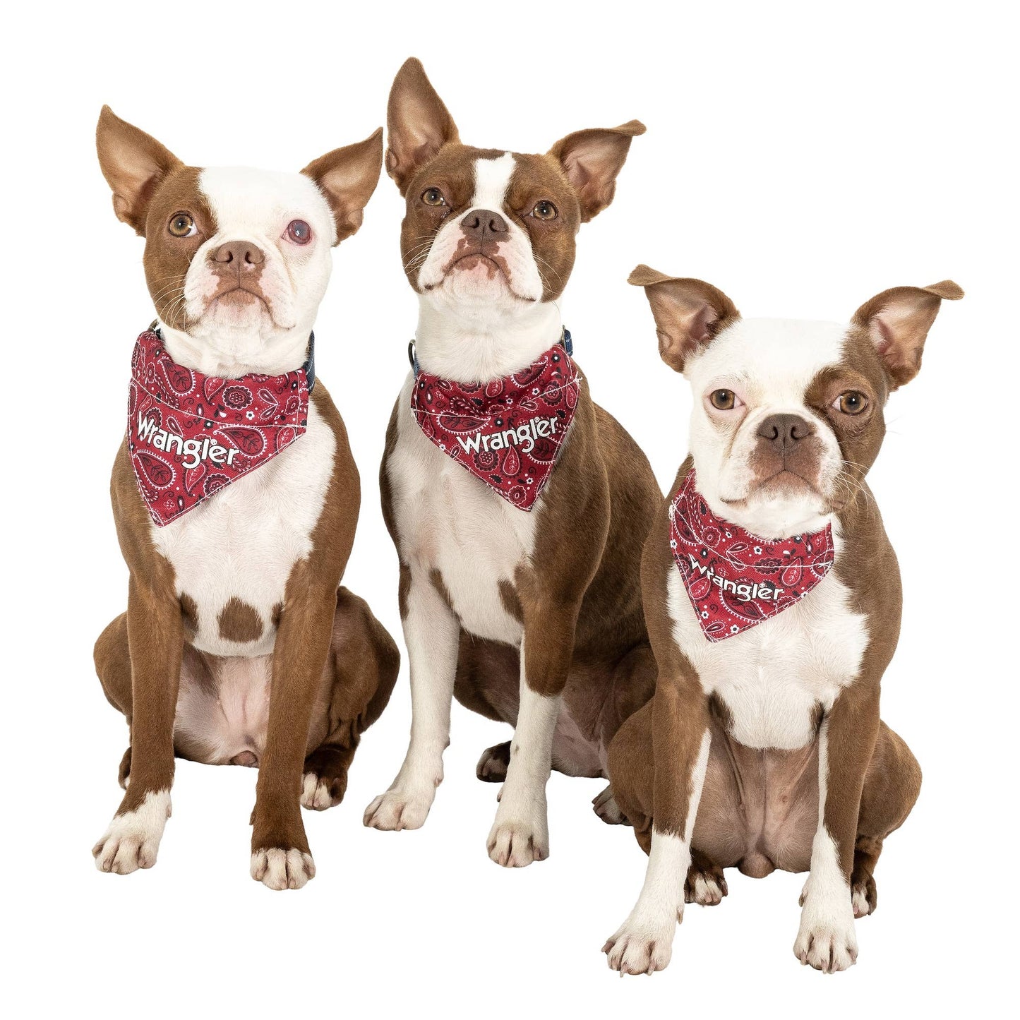 Wrangler Red Bandana Collar