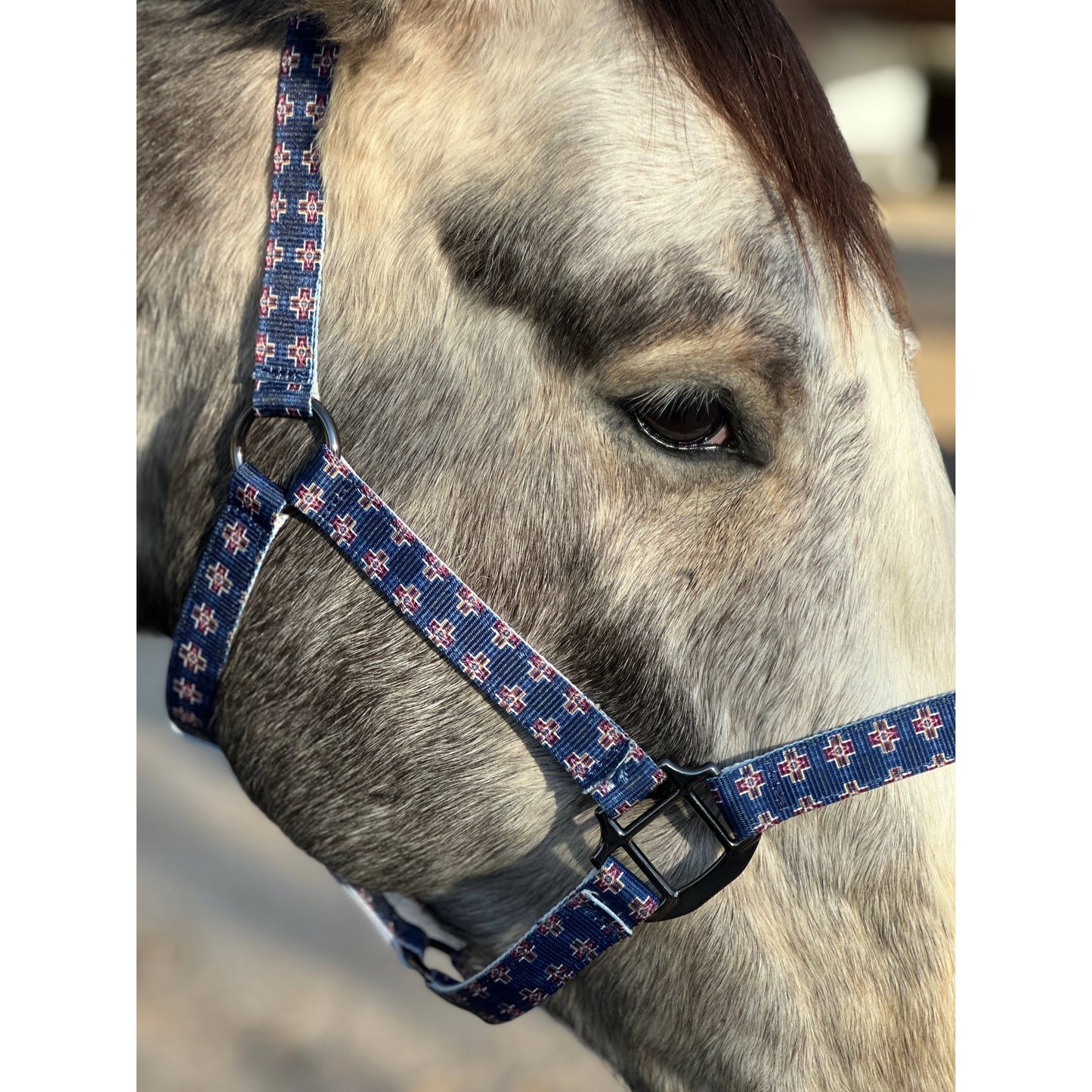 Nylon Halter - Horse Size