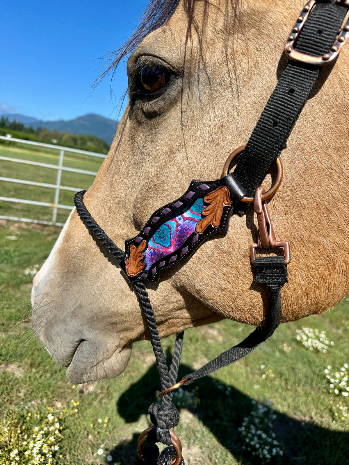 Lariat Nose Halter