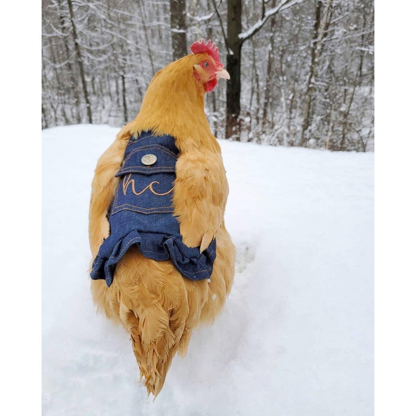 My Favorite Chicken - Hen Couture® Hen Saddle Apron Chicken Protection Outfit