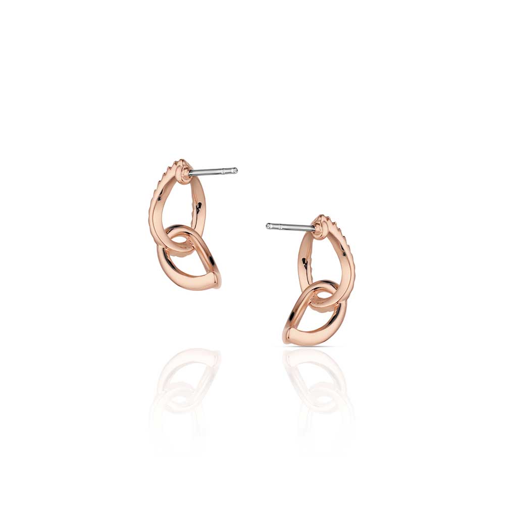 Montana Silversmith Rose of the Rockies Earrings ER6382