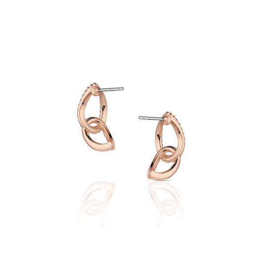 Montana Silversmith Rose of the Rockies Earrings ER6382