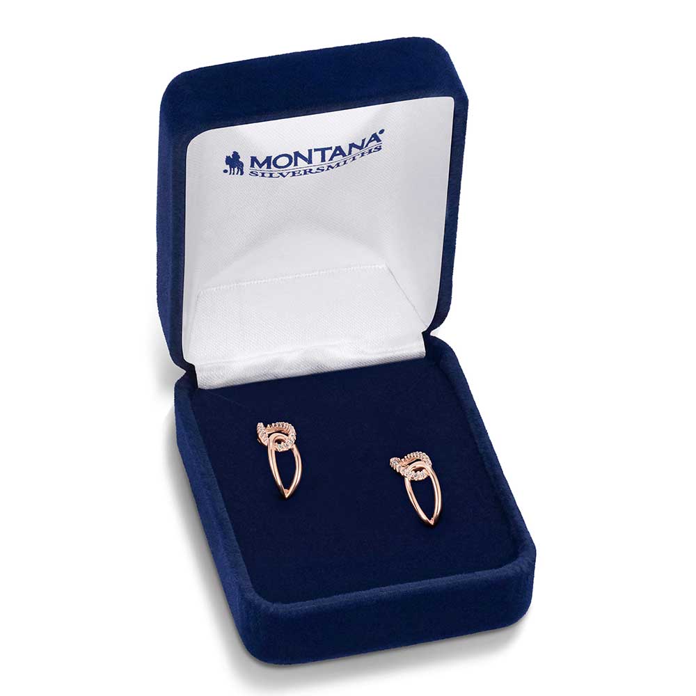 Montana Silversmith Rose of the Rockies Earrings ER6382