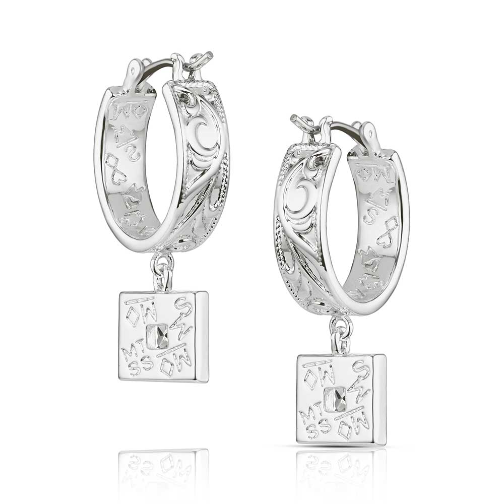 Montana Silversmith Dessert Whirl Earrings ER6456