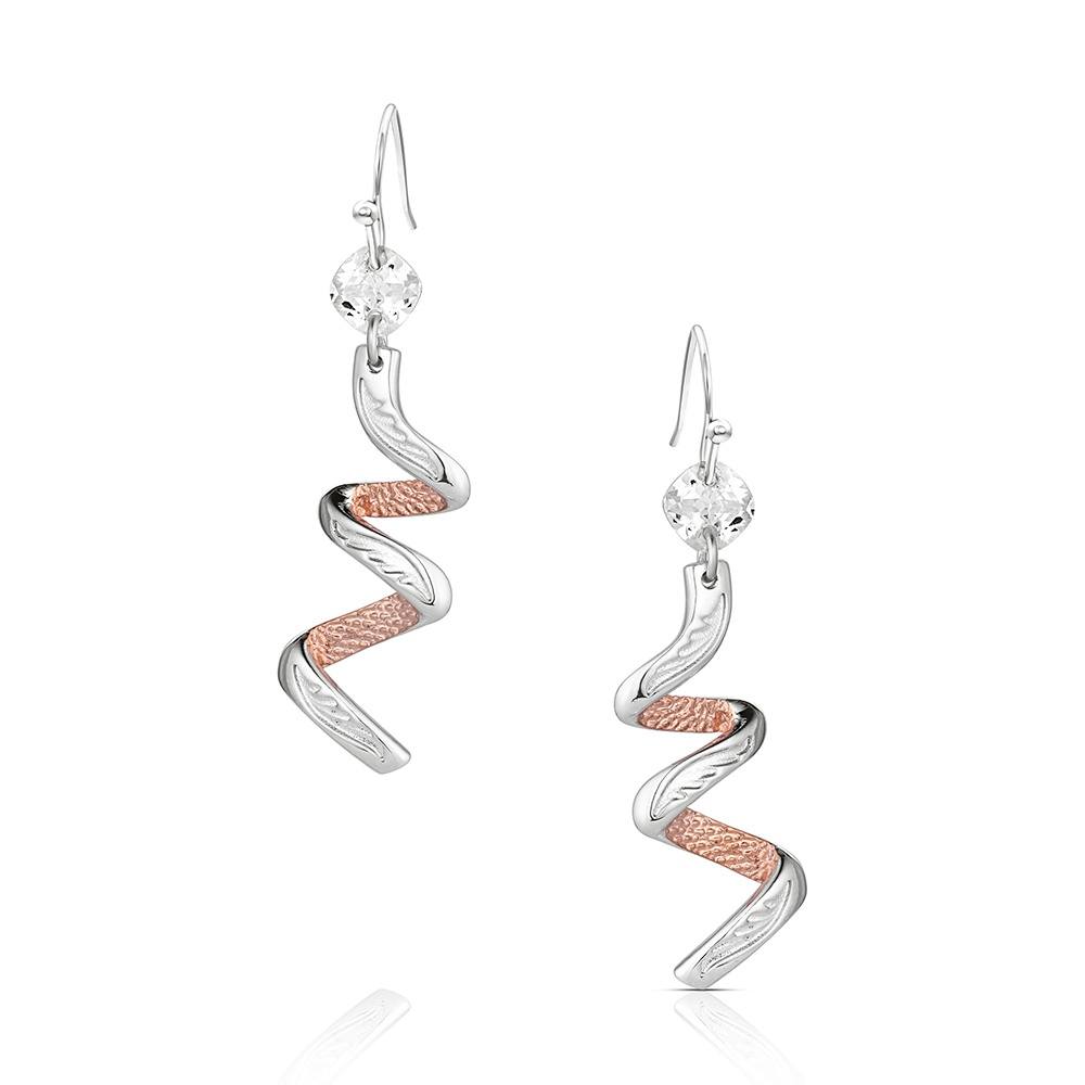 Montana Silversmith Bucharoo Bling Earrings ER6463