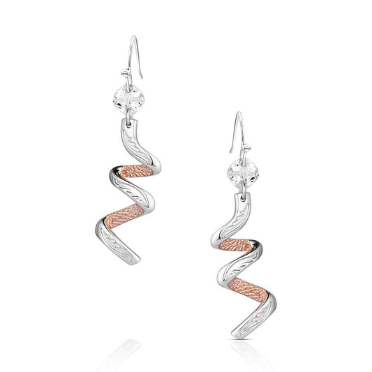 Montana Silversmith Bucharoo Bling Earrings ER6463