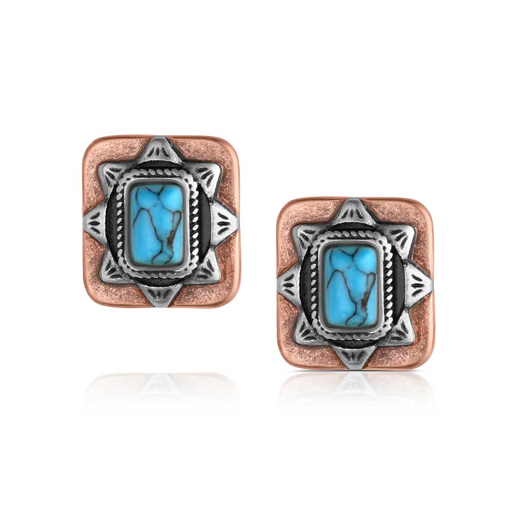 Montana Silversmith Sienna Canyon Post Earrings ER6480
