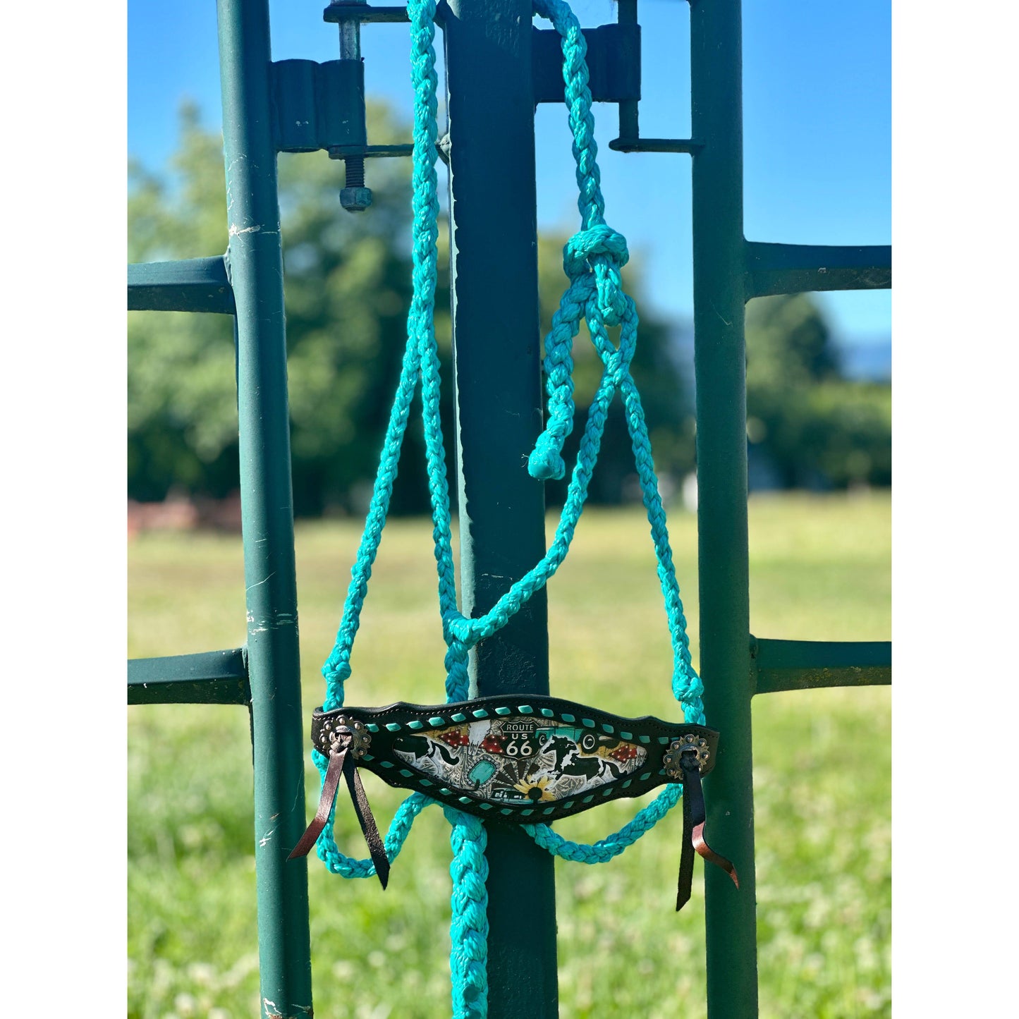 Braided Bronc Halter