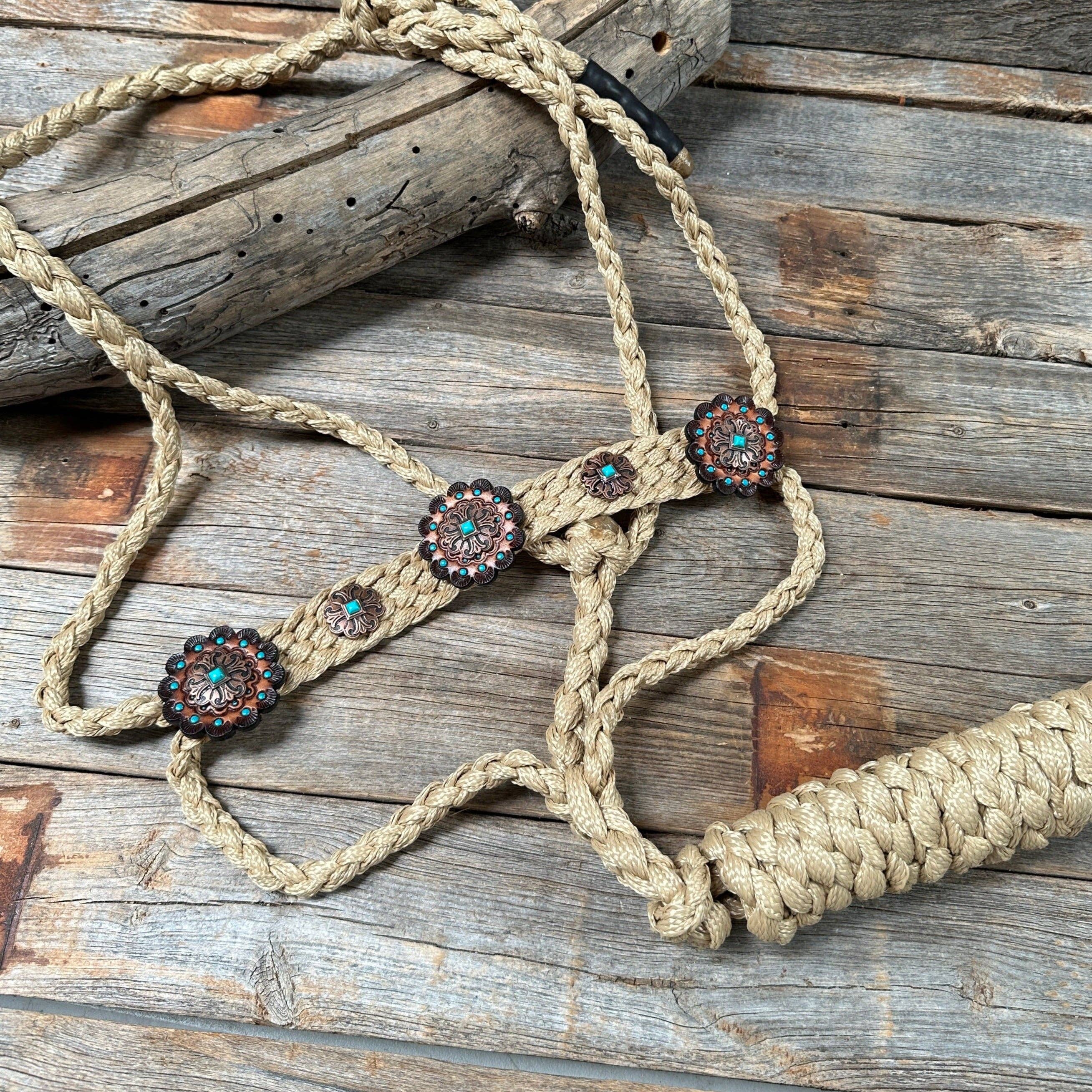 Tan and Turquoise Mule Tape Halter -  #MT116