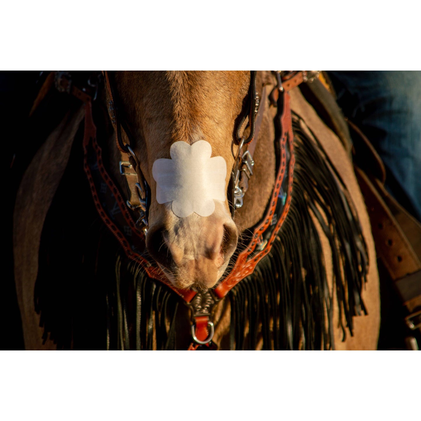 EquiBreathe™ Equine Nasal Patch - White