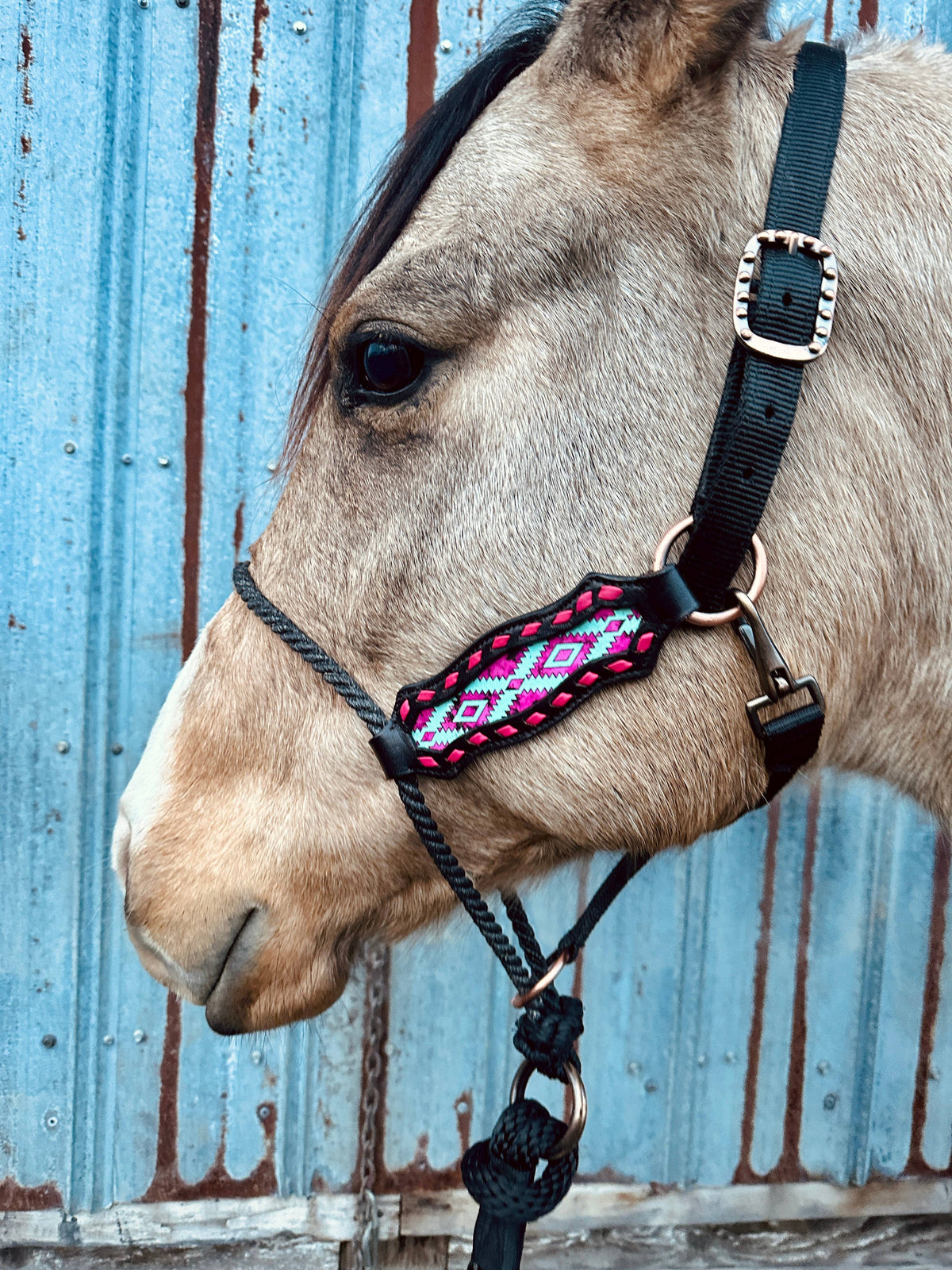 Lariat Nose Halter