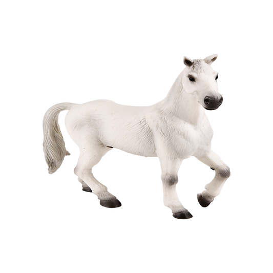Oldenburg Gelding