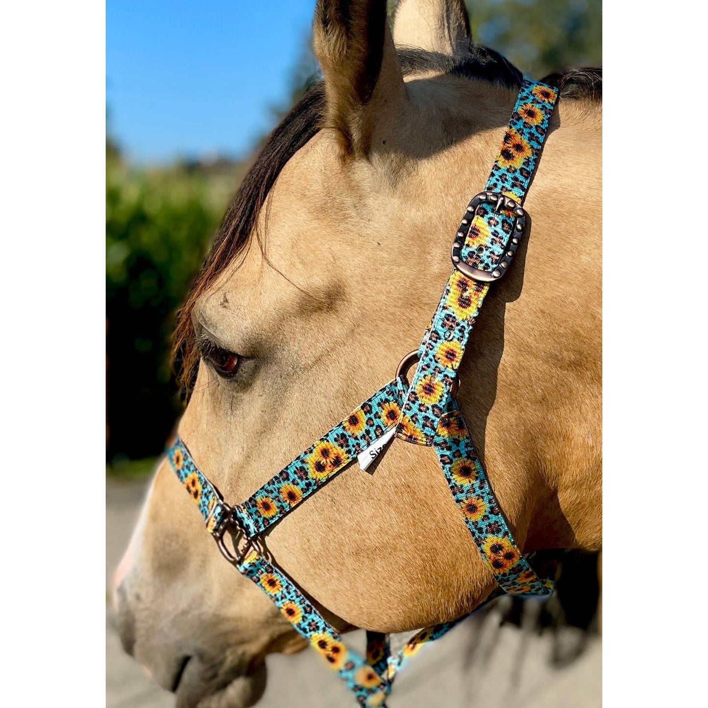 Nylon Halter - Horse Size
