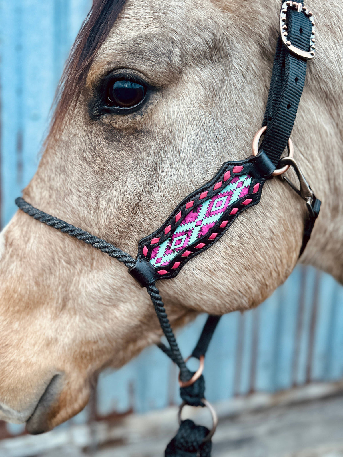 Lariat Nose Halter