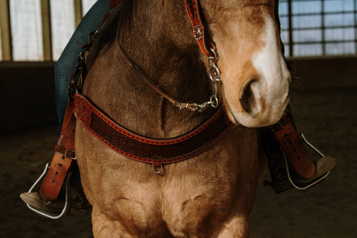 Wyatt Earp Tripping Collar