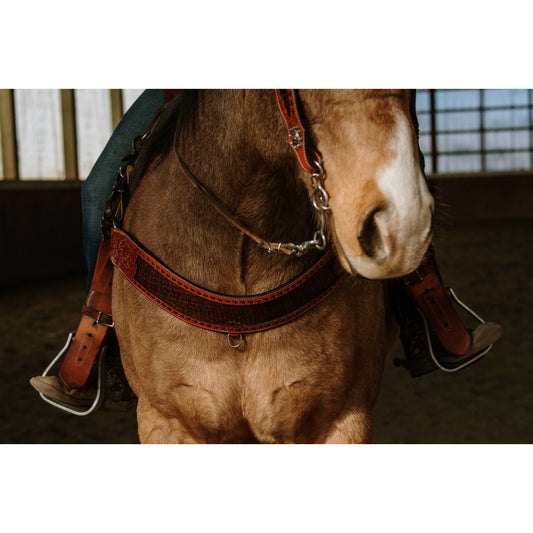 Wyatt Earp Tripping Collar