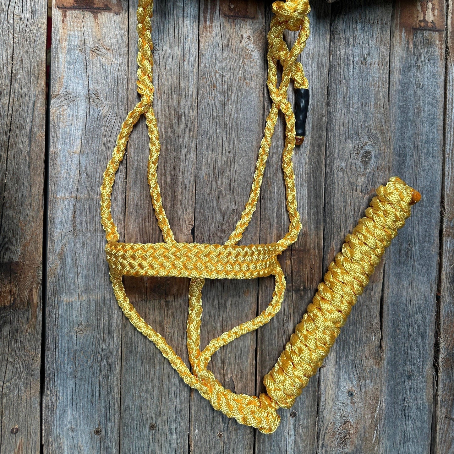 Rodeo Drive - Mule Tape Halters - Assorted Colors - Lime Option