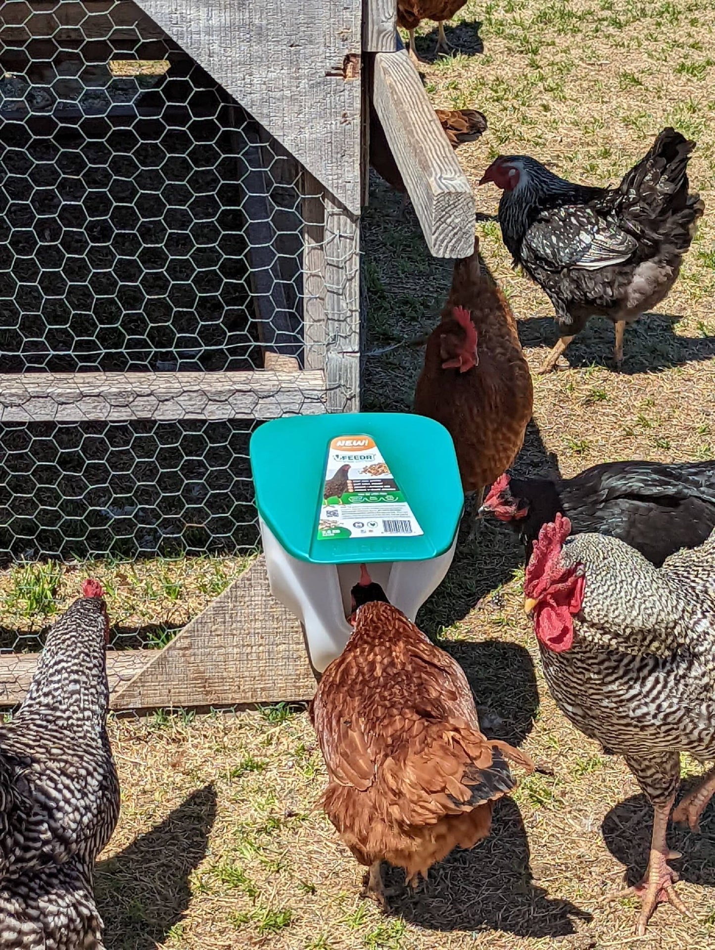 Chicken VFeedr No Waste Hanging Poultry Feeder 5-lbs