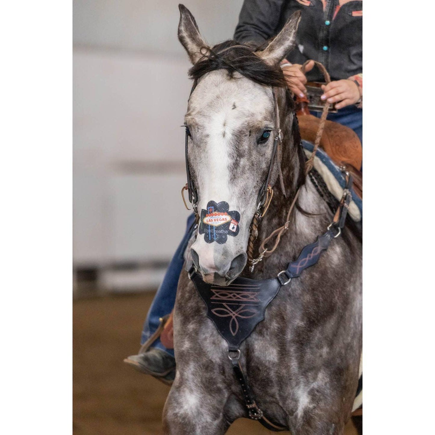 EquiBreathe™ - EquiBreathe™ Equine Nasal Patch - Vegas